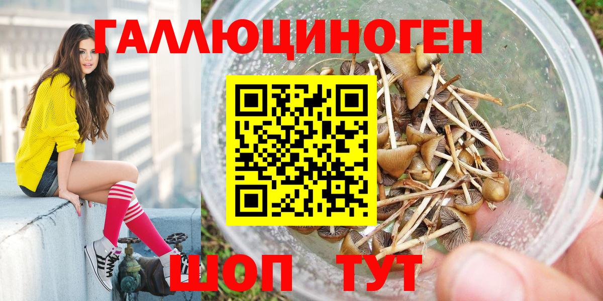 Псилоцибиновые грибы прущие грибы Ессентуки