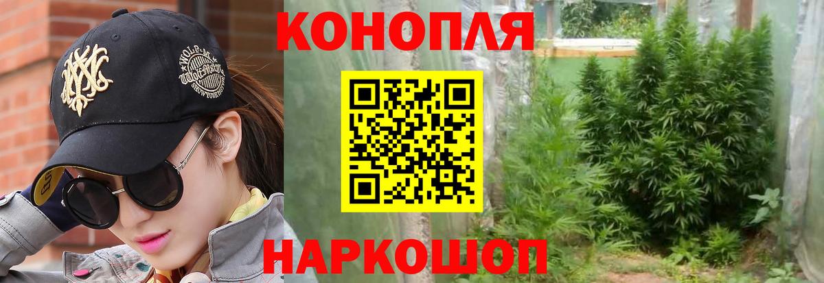 Конопля White Widow Ессентуки